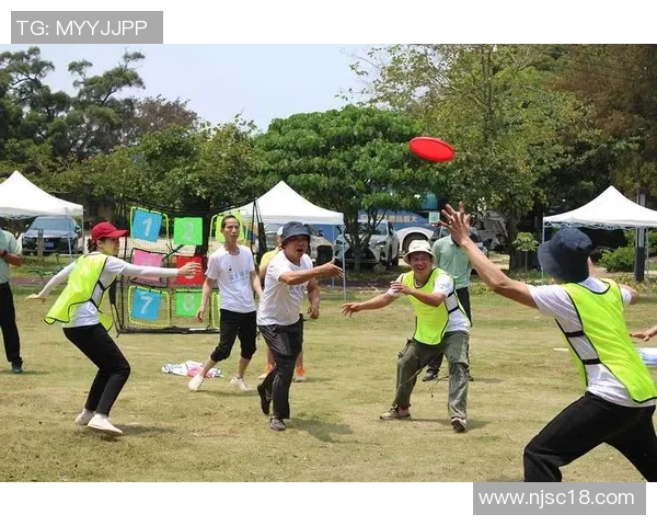 实时新闻南京飞盘队的默契配合与战术探讨聚焦飞盘运动的团队协作与竞技精神